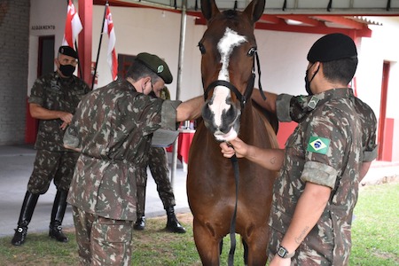 10º R C Mec Secao de Gestao Logistica de Remonta e Veterinaria 3