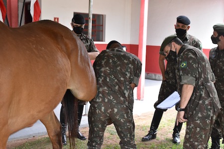 10º R C Mec Secao de Gestao Logistica de Remonta e Veterinaria 4