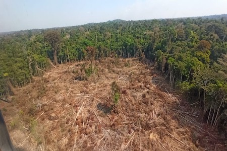 Comando Conjunto Oeste atua em area de terra indigena 3