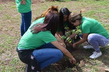 17bfron ambiental 4