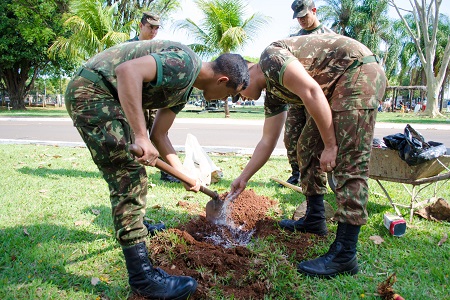 cmocursojardinagem4