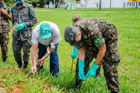 curso senar formiga 3