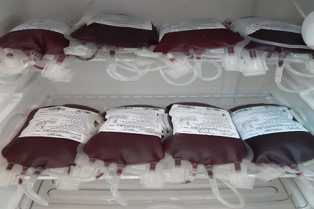 doacao sangue pe 4