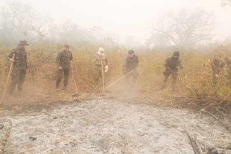 cfronjauru incendio 2