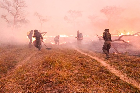 cfronjauru incendio 4