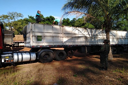 verdebrasil Jauru 3