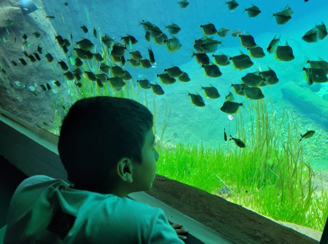 PROFESP faz visita ao Bioparque Pantanal 5