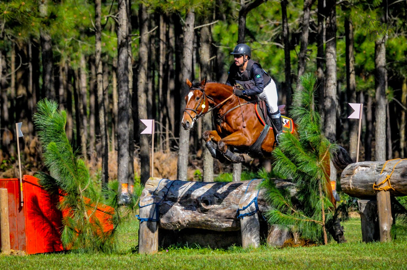 campeonato polo 2