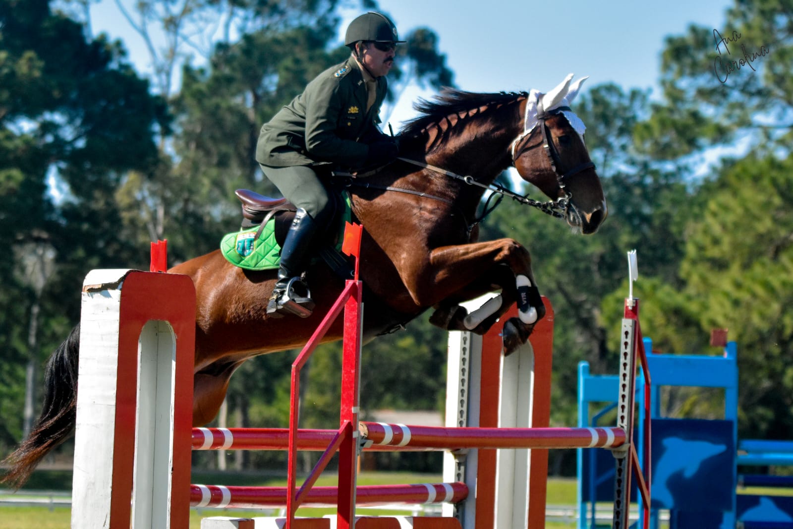 campeonato polo 3