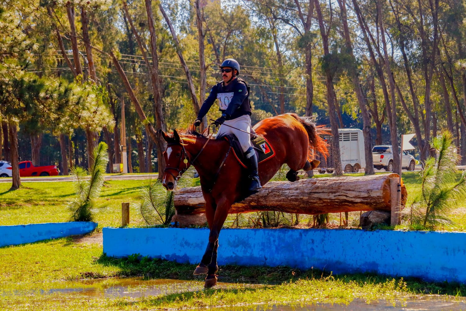 campeonato polo 5