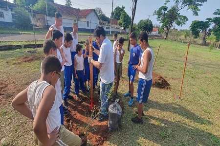 plantioarvores3lagoas2